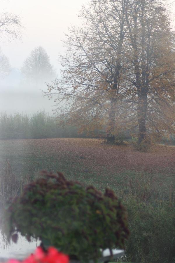 Zielone Okiennice Miłki Exterior foto